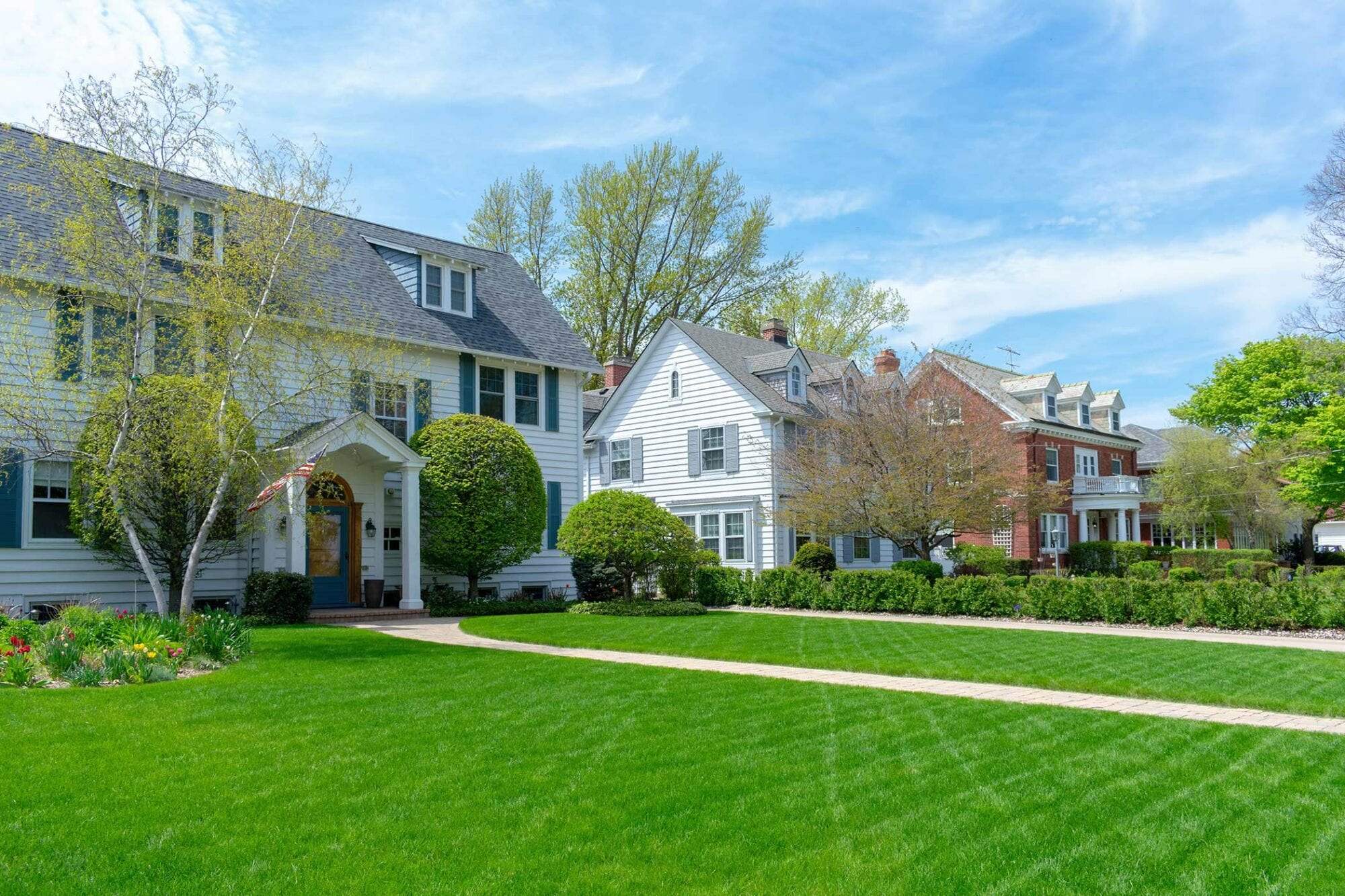 house-lawn.jpeg